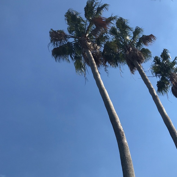 Meet your Posher, Kelly - Picture 1 of 2